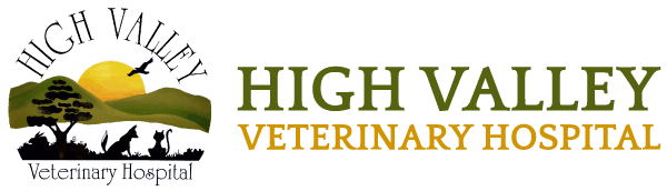 High Valley Veterinary Hospital