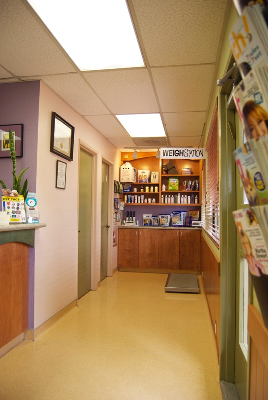The hallway to exam rooms and a product display