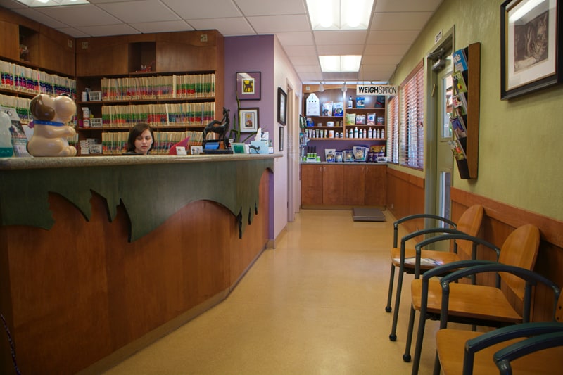 The reception and waiting area