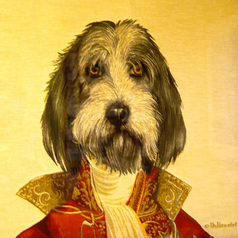A portrait of a dog dressed as an old timey solider